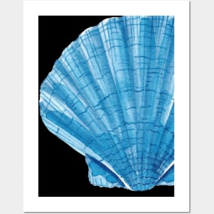 Sea Shell Posters and Art